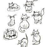 A Lot of Cats
