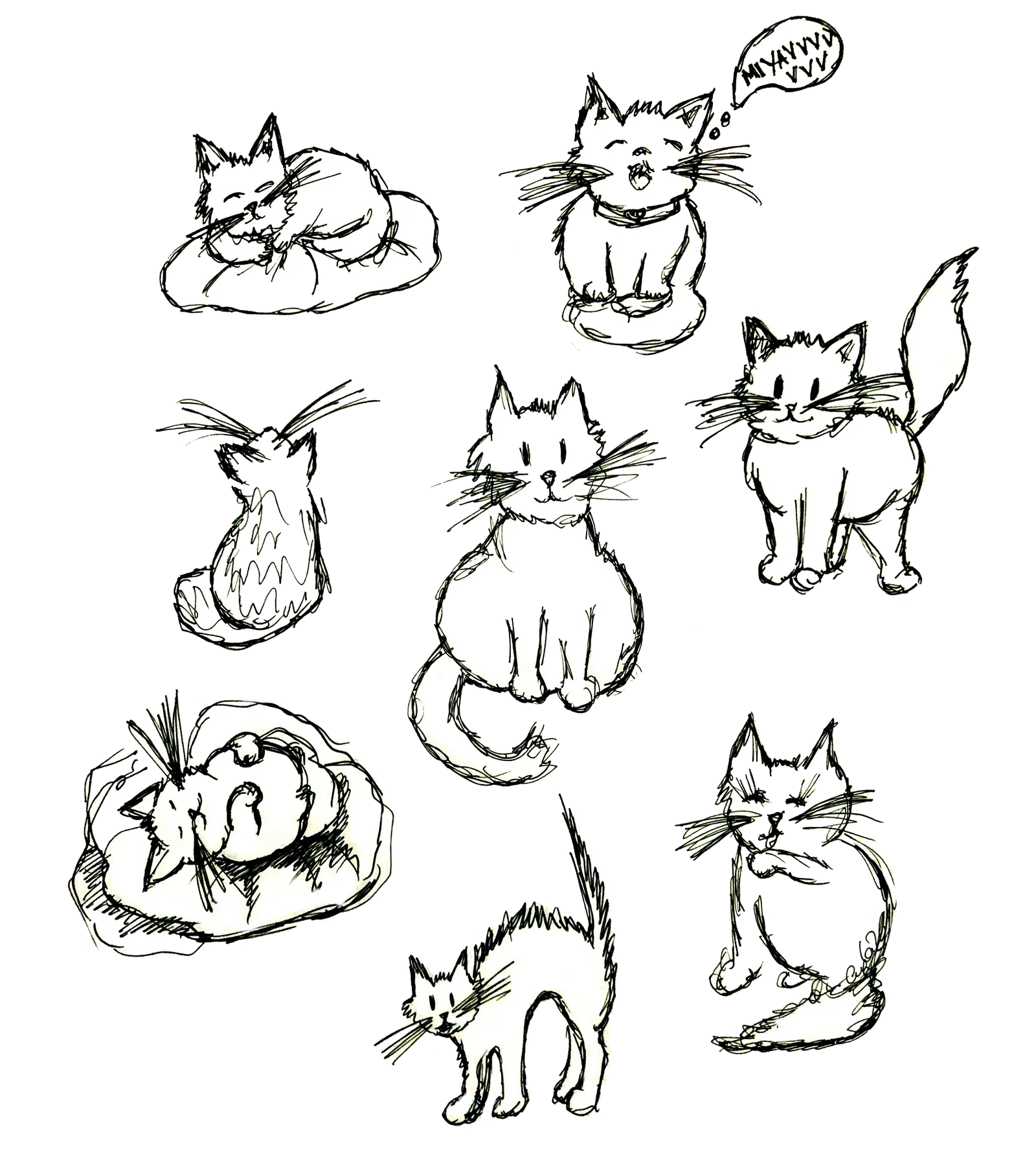 A Lot of Cats