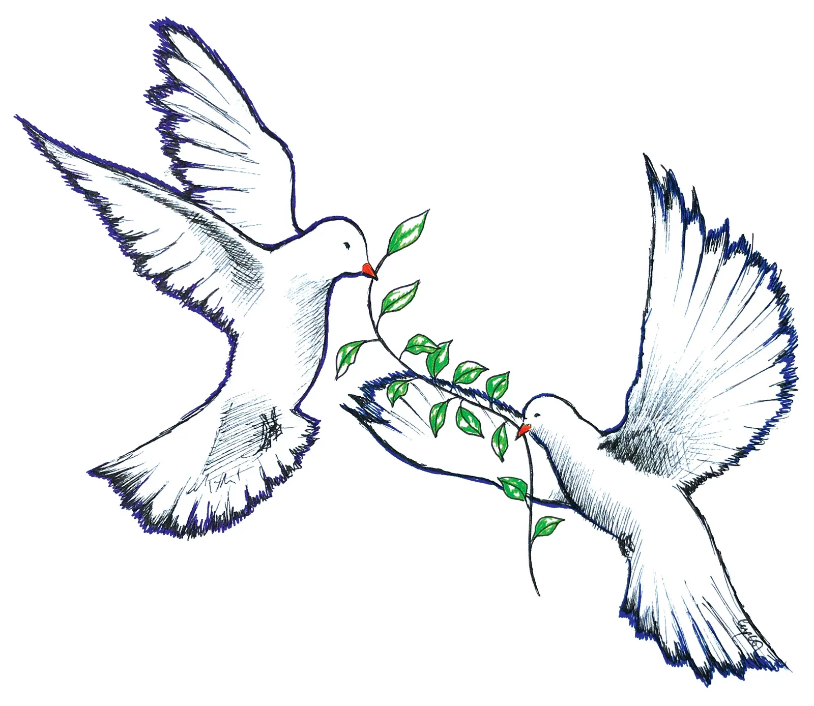 Doves Bring Peace