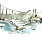 Seagulls of Bosphorus