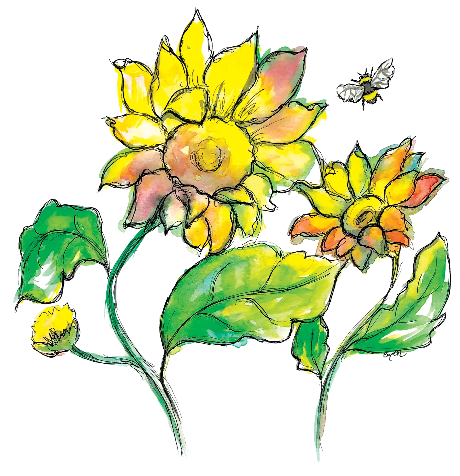 Sunflower & the Bee