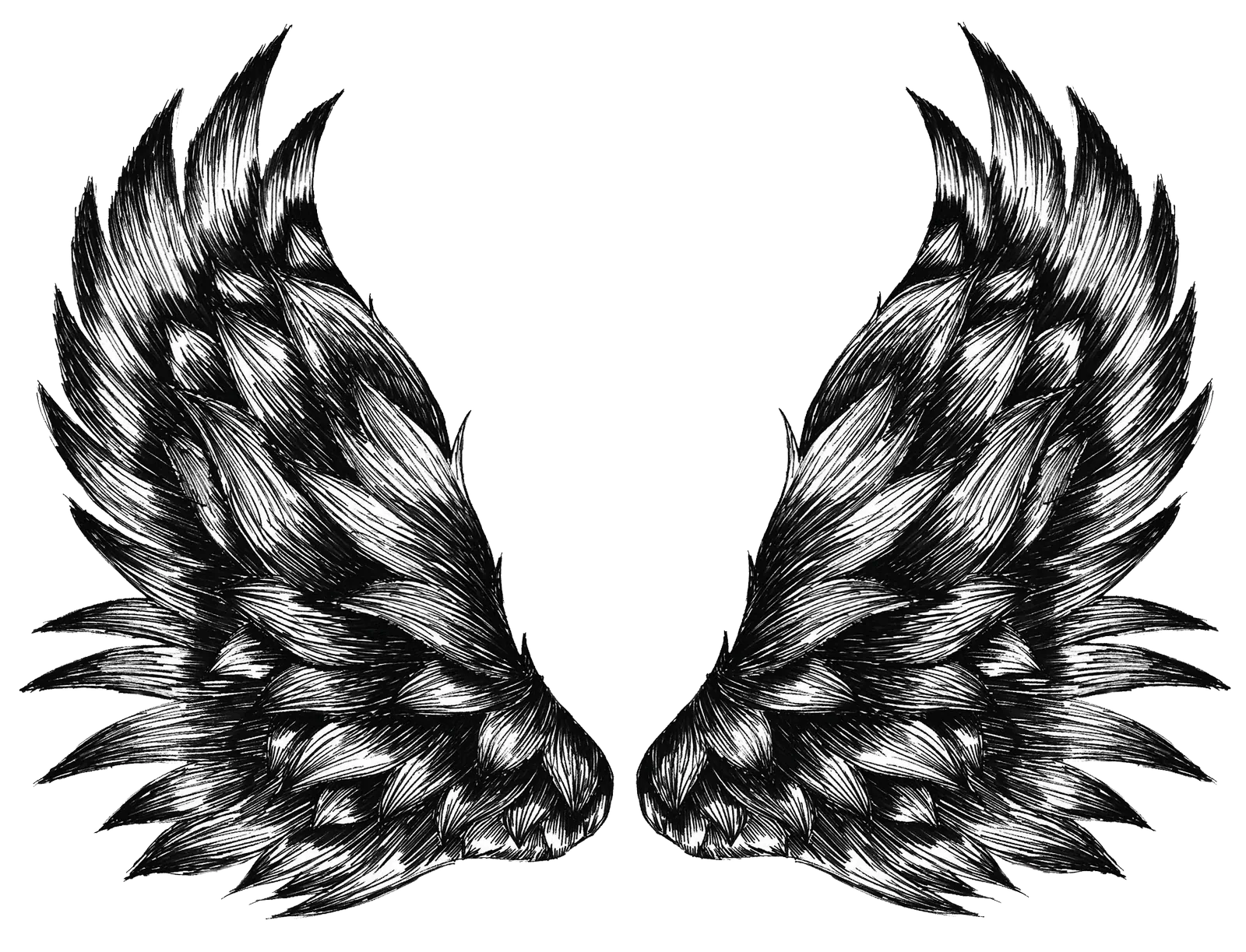 Wings Black