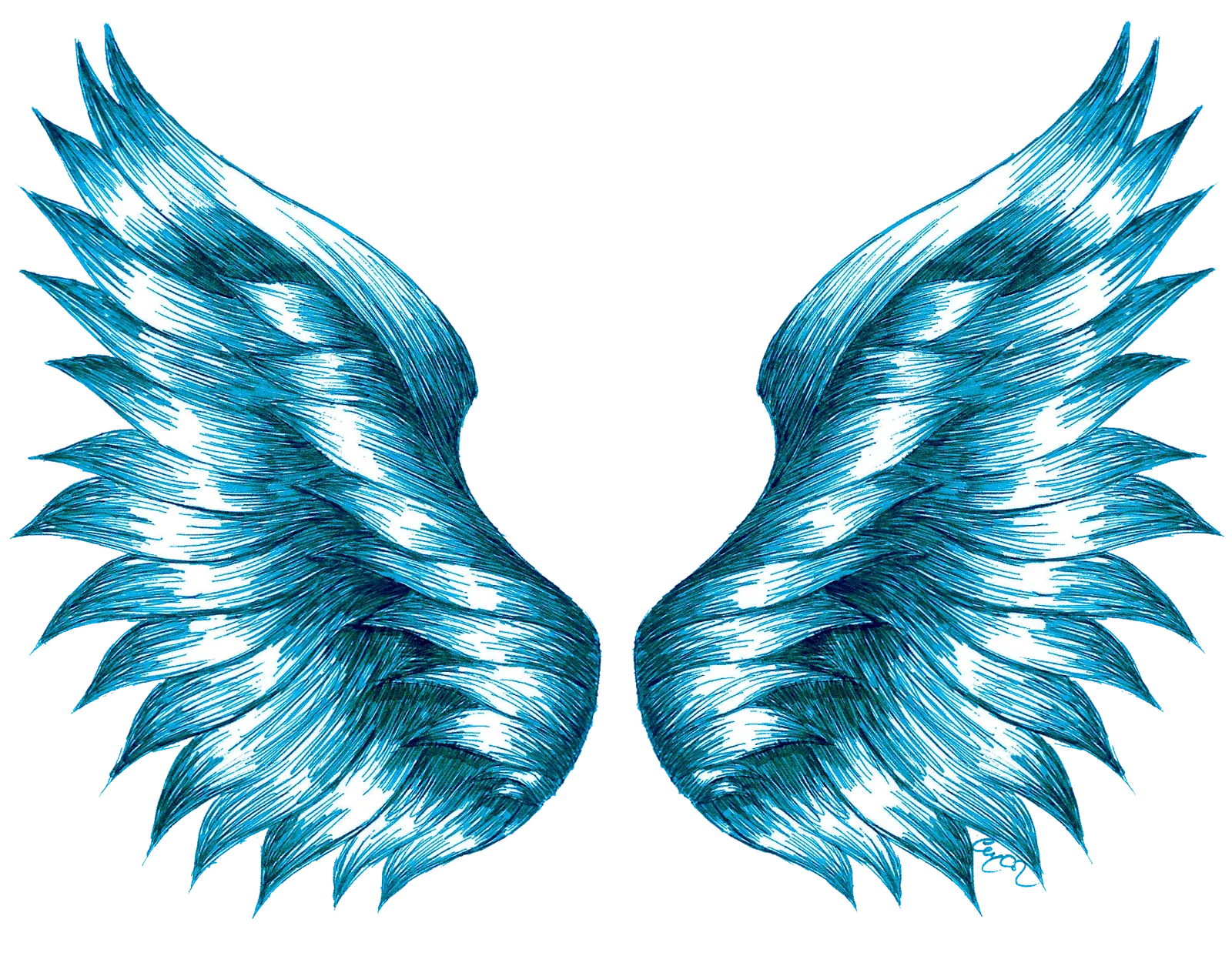 Wings Blue